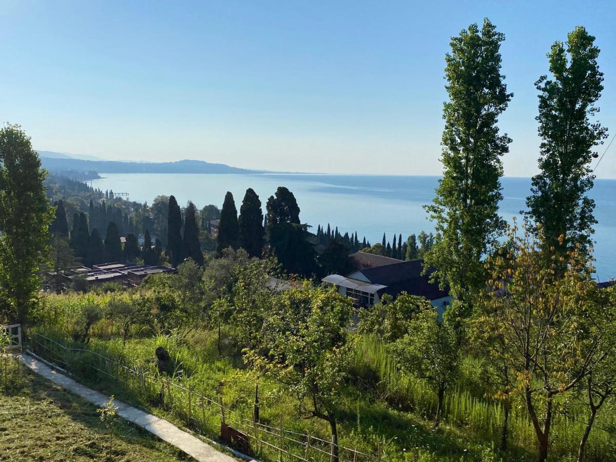 U Valery Hotel New Athos Екстериор снимка